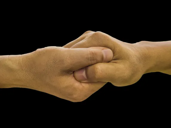 노르디스 카지노 지원